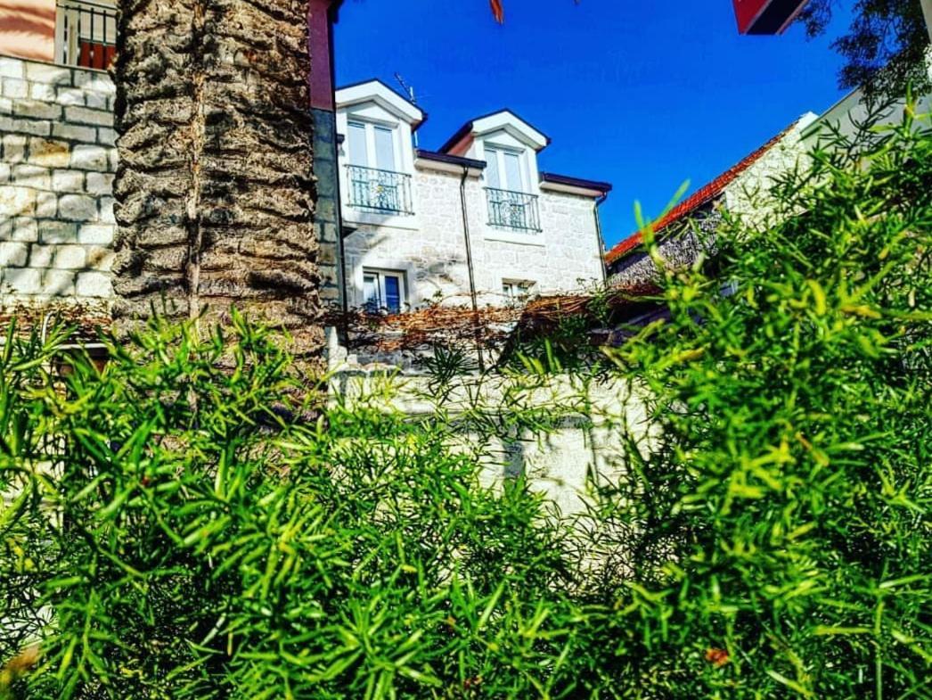Apartmani Marina Gradac グラダツ エクステリア 写真