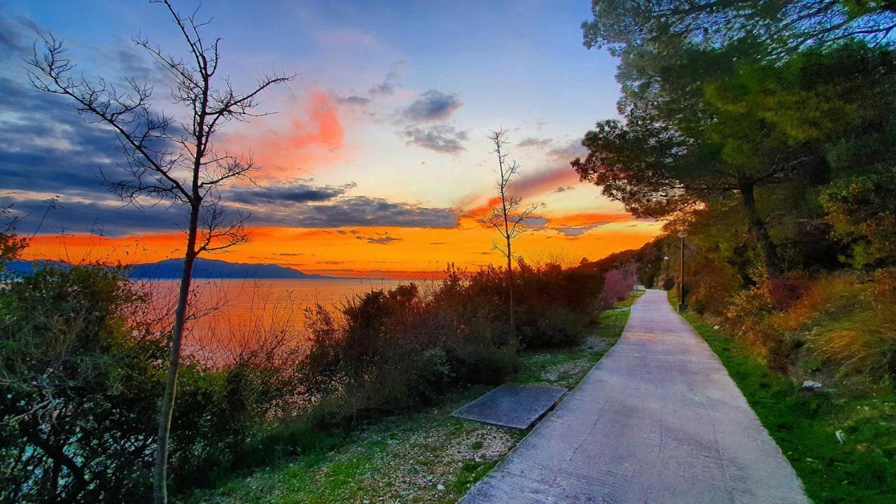 Apartmani Marina Gradac グラダツ エクステリア 写真