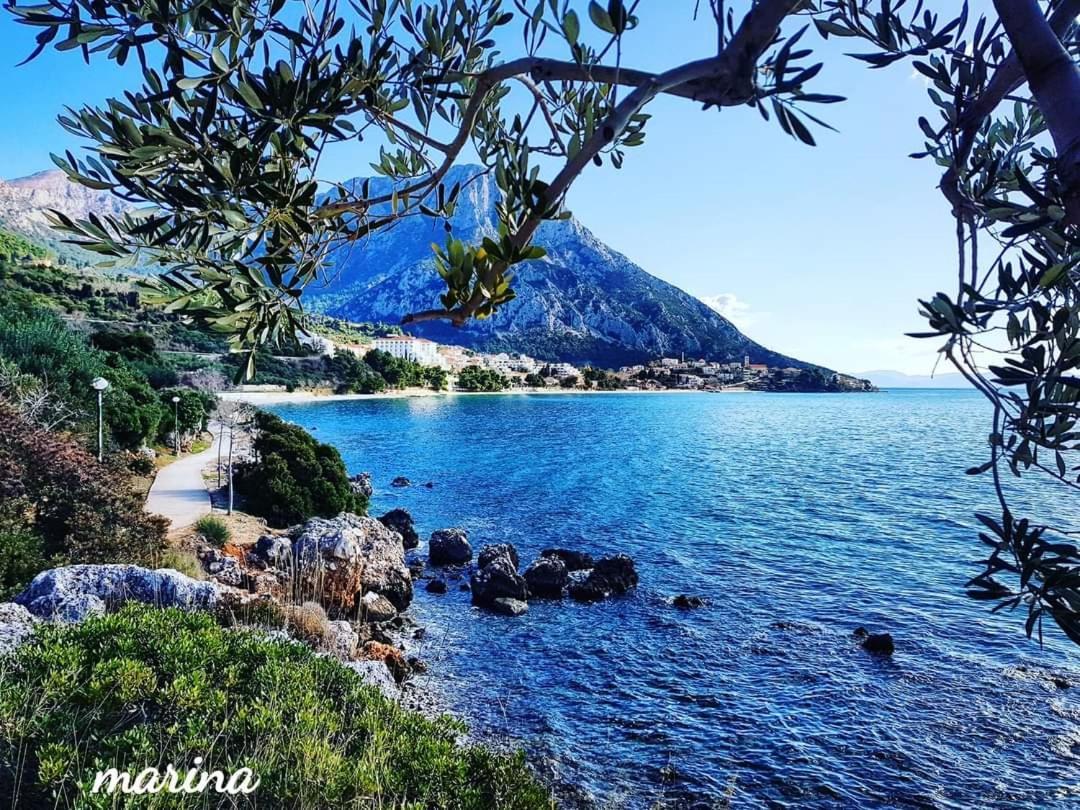 Apartmani Marina Gradac グラダツ エクステリア 写真