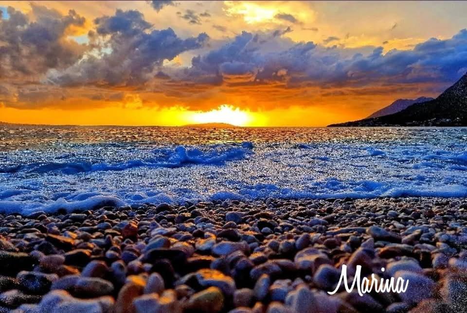 Apartmani Marina Gradac グラダツ エクステリア 写真