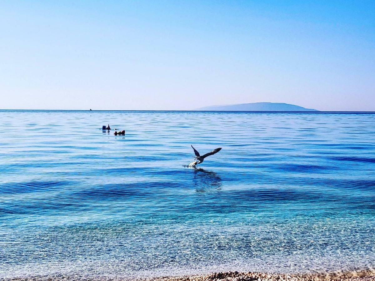 Apartmani Marina Gradac グラダツ エクステリア 写真